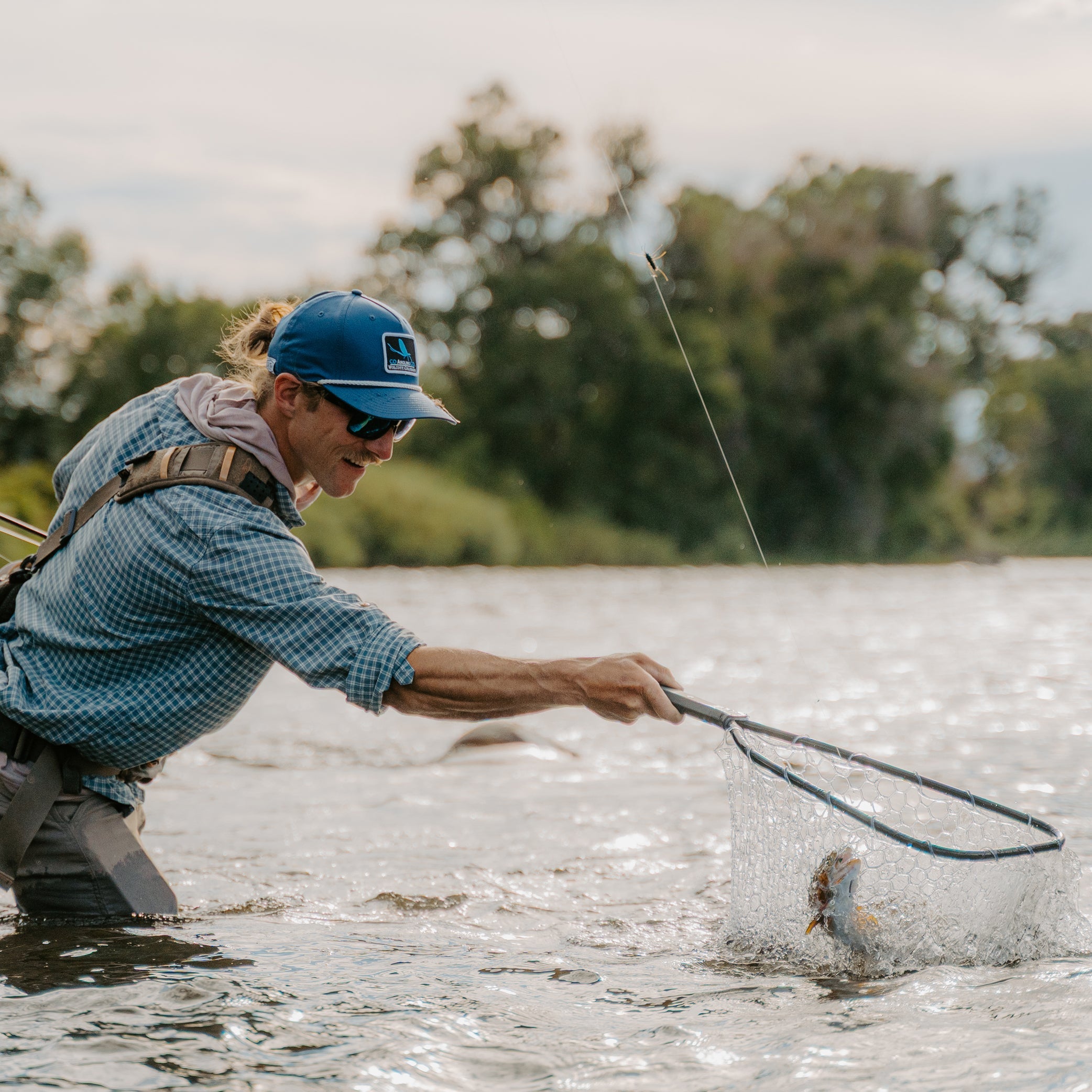 Brookie Net Package