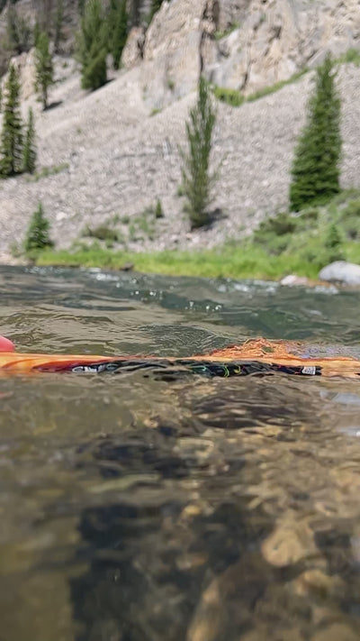 cling fishing products temperature tape in water reveal 